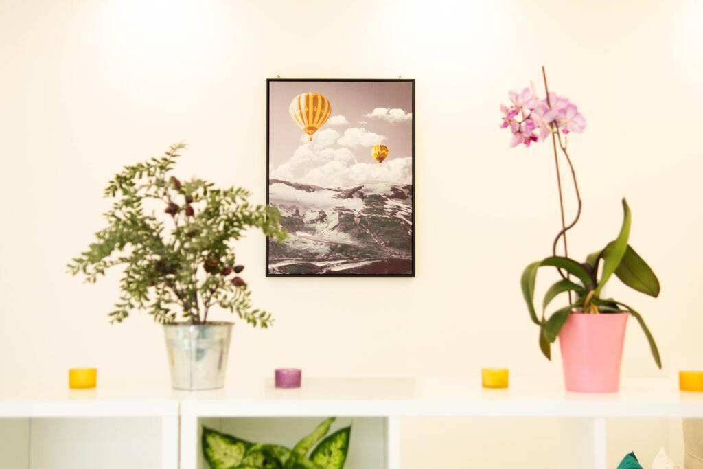 Cute And Sunny Studio - Central Location 塞拉耶佛 外观 照片